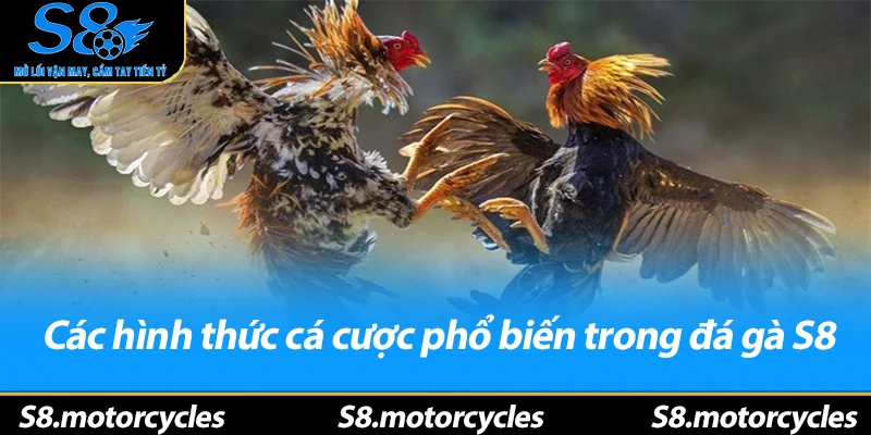 Các hình thức cá cược phổ biến trong đá gà S8