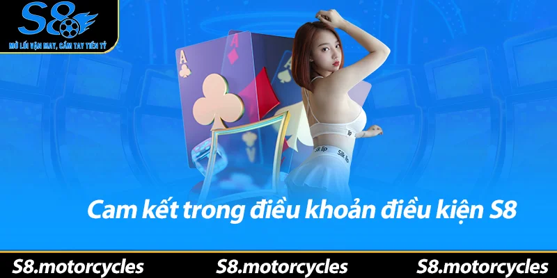 Cam kết trong điều khoản điều kiện S8